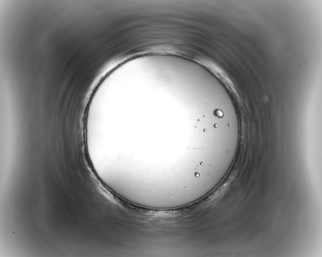 X0000085770808200703161141