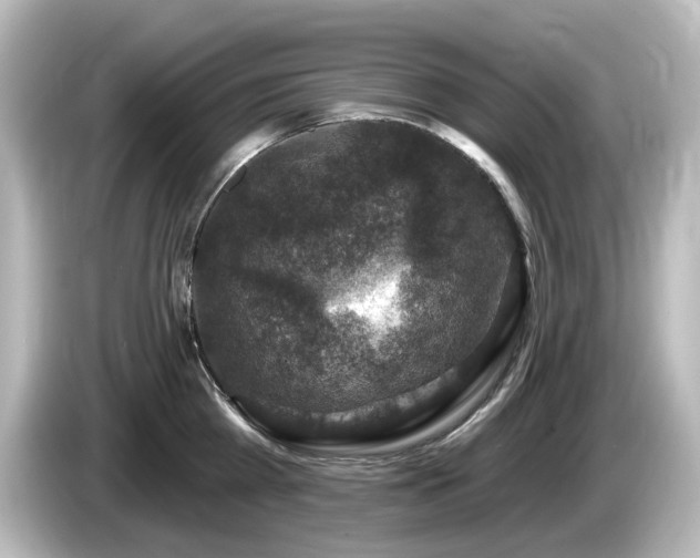 X0000085770809200703161141