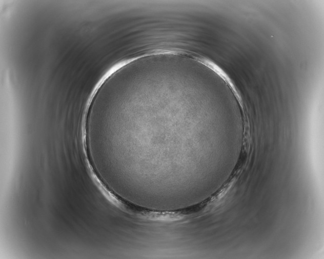 X0000085770811200703161141