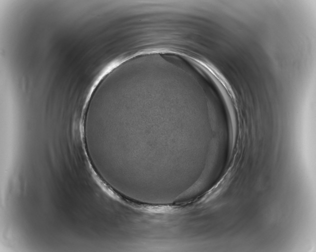 X0000085770813200703161141