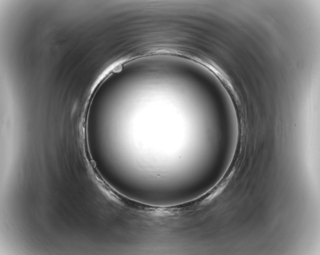 X0000085770814200703161141