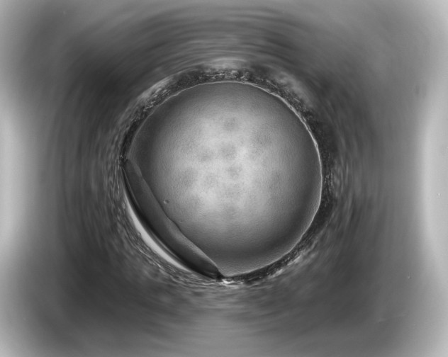 X0000085770821200703161141