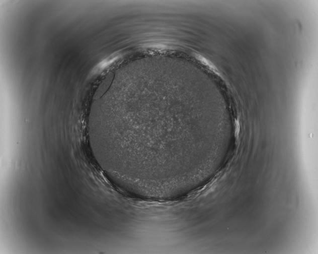 X0000085770822200703161141