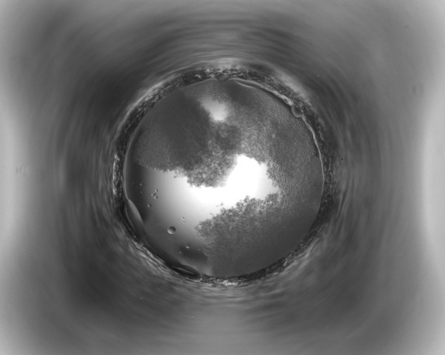 X0000085770823200703161141