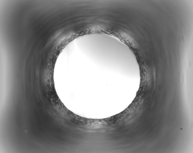 X0000085770824200703161141