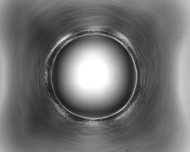 X0000085770827200703161141