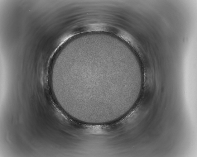 X0000085770828200703161141