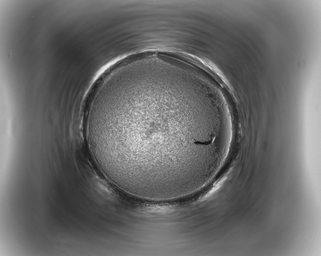 X0000085770830200703161141