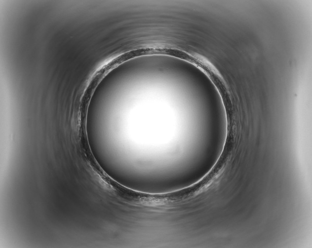 X0000085770831200703161141