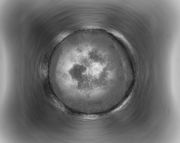 X0000085770833200703161141