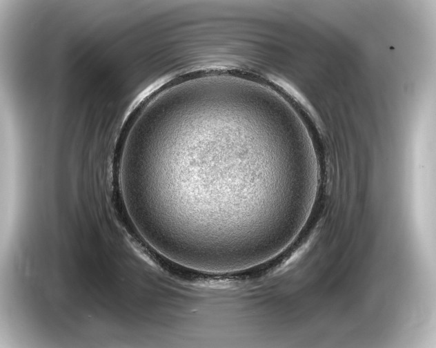 X0000085770834200703161141