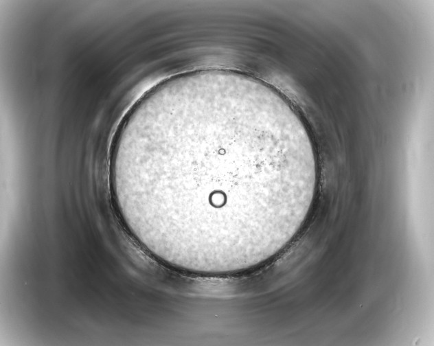 X0000085770836200703161141