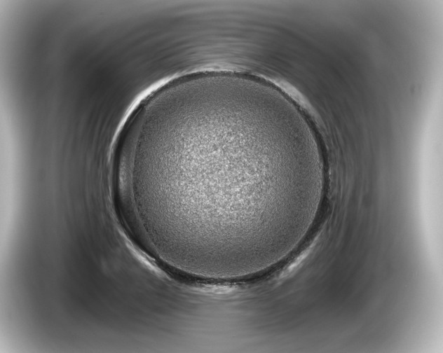 X0000085770838200703161141