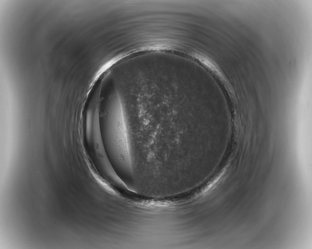 X0000085770842200703161141