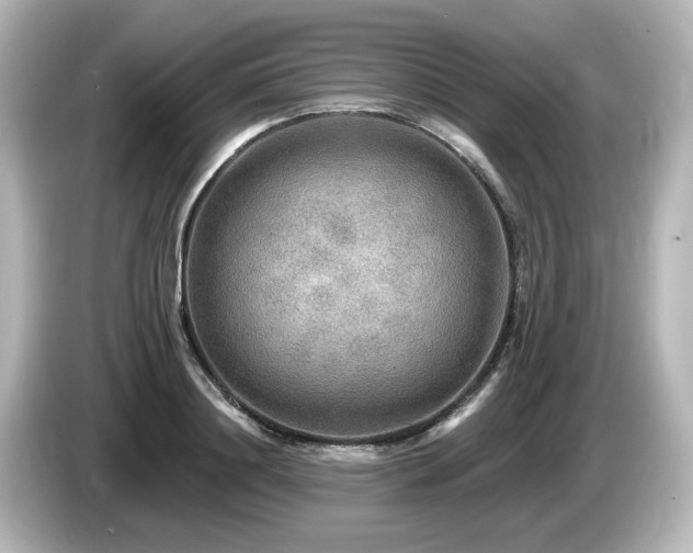 X0000085770844200703161141