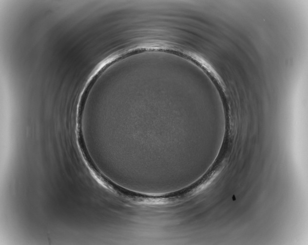 X0000085770845200703161141