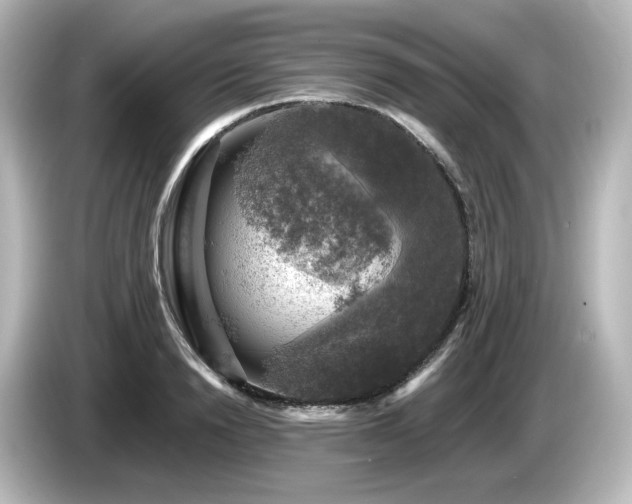 X0000085770846200703161141