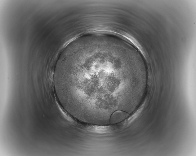 X0000085770849200703161141