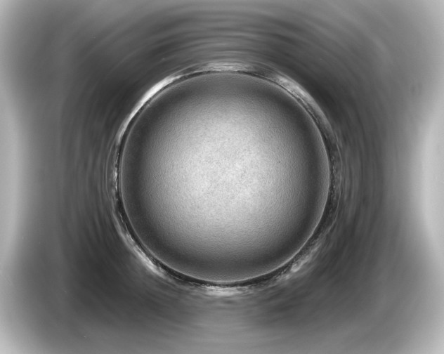 X0000085770852200703161141