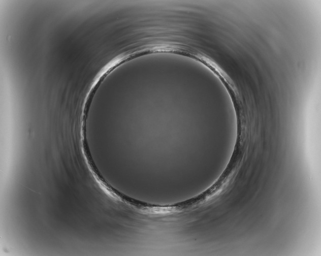 X0000085770853200703161141