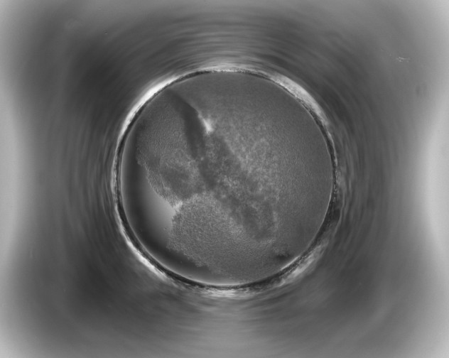 X0000085770855200703161141