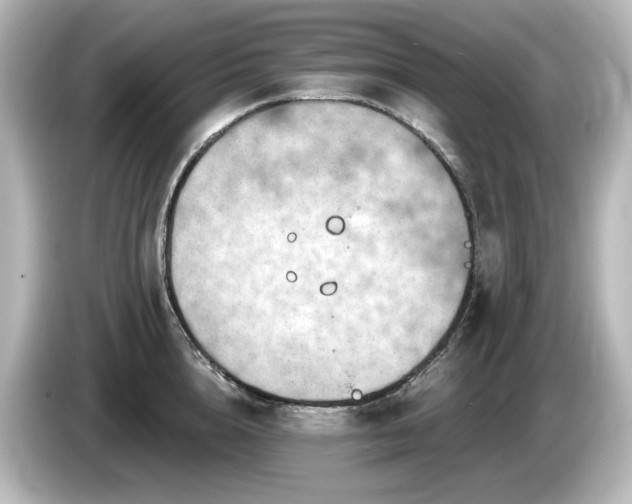 X0000085770856200703161141