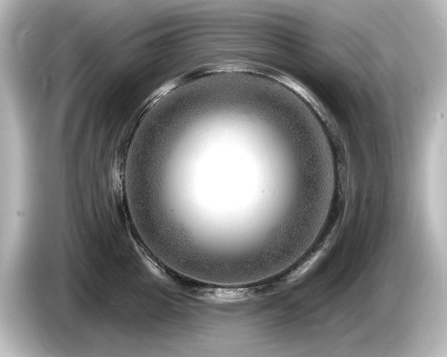 X0000085770857200703161141