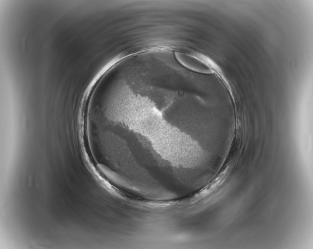 X0000085770859200703161141