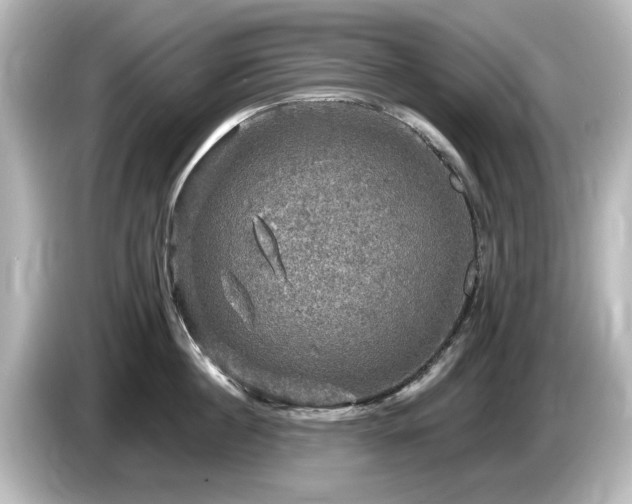 X0000085770860200703161141