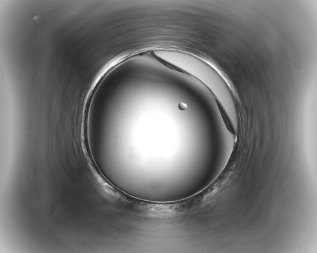 X0000085770861200703161141