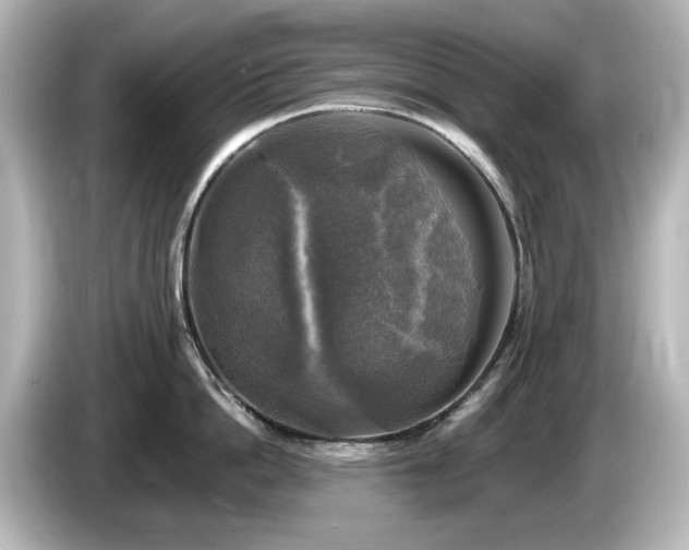 X0000085770862200703161141