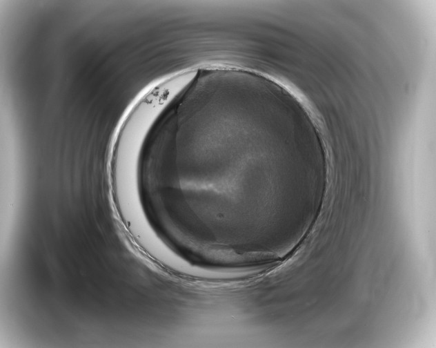 X0000085770864200703161141