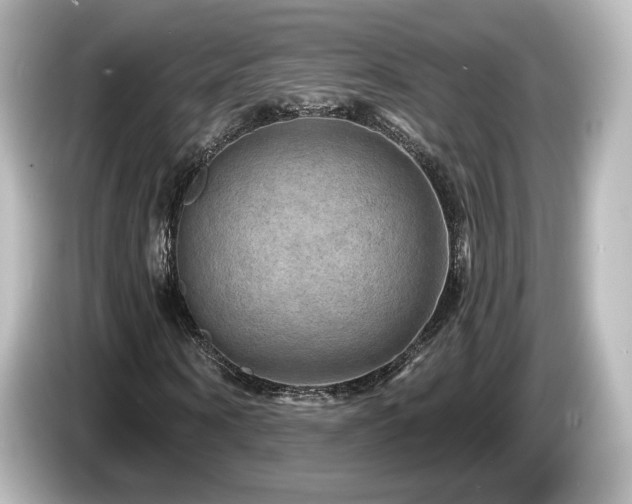 X0000085770866200703161140