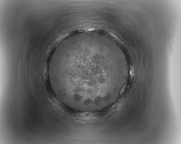 X0000085770867200703161140