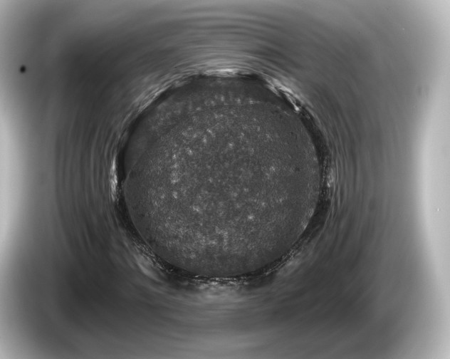 X0000085770868200703161140