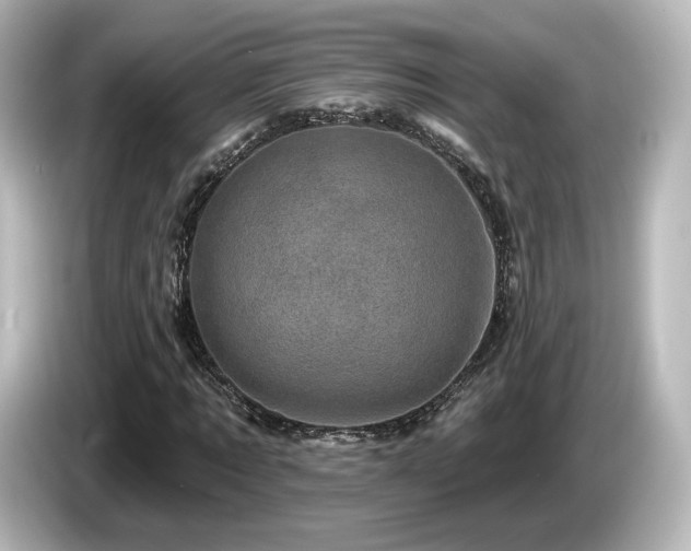 X0000085770869200703161140