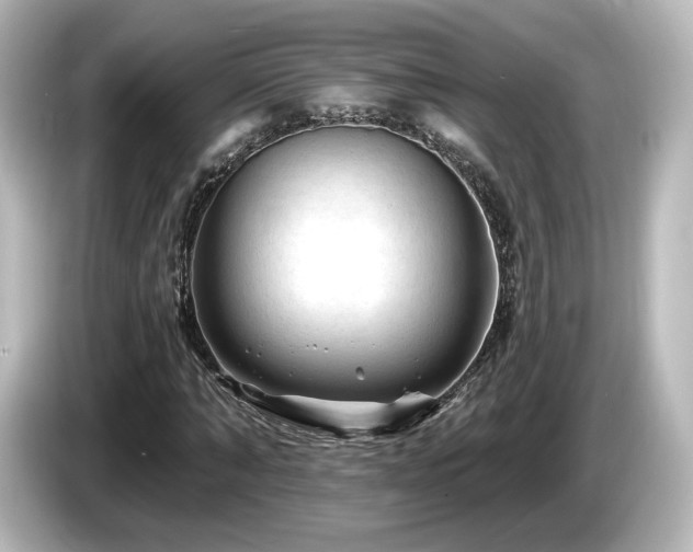 X0000085770870200703161140