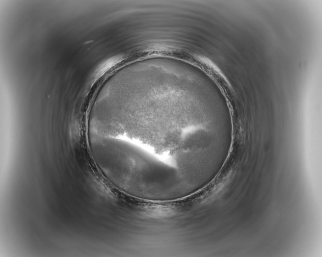 X0000085770874200703161140