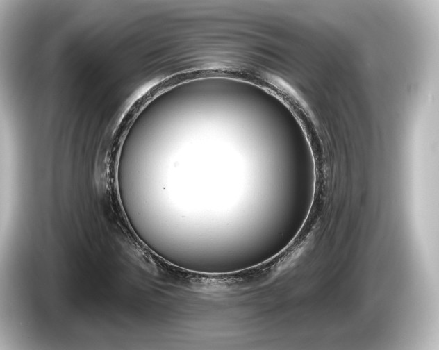 X0000085770875200703161140