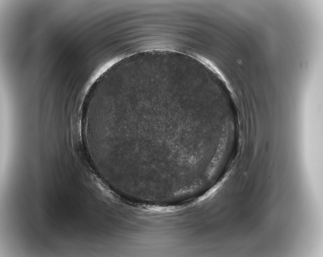 X0000085770877200703161140