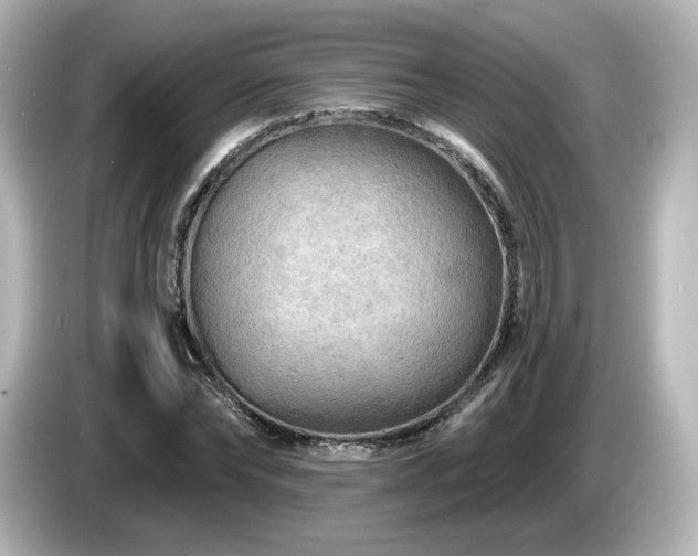 X0000085770878200703161140