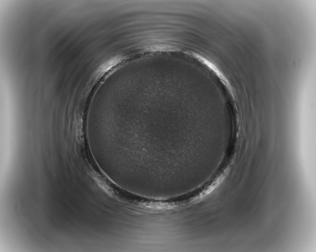 X0000085770881200703161140