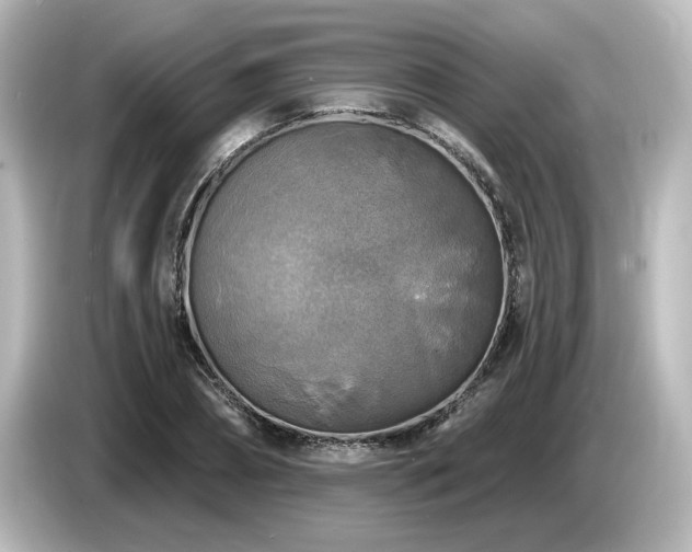 X0000085770882200703161140