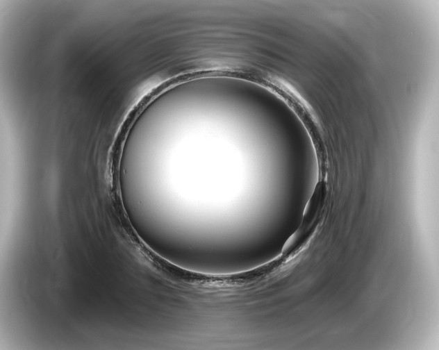 X0000085770883200703161140