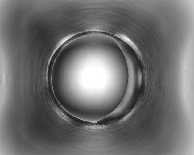 X0000085770884200703161140