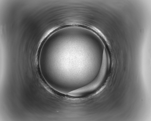 X0000085770885200703161140