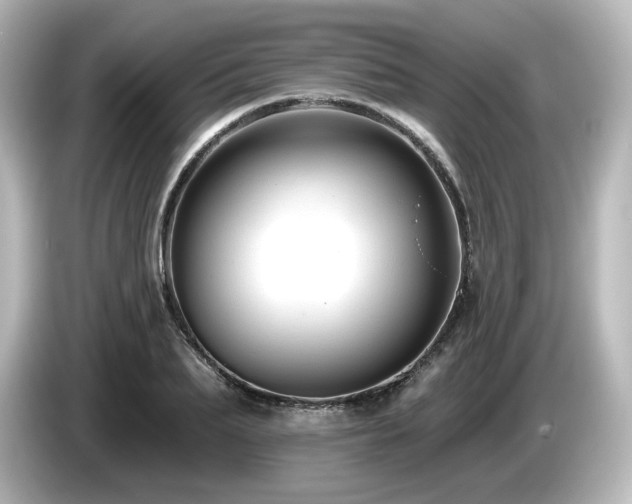 X0000085770887200703161140