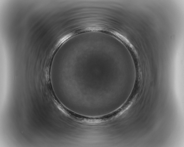 X0000085770889200703161140