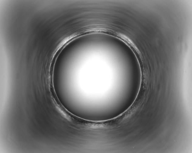 X0000085770890200703161140