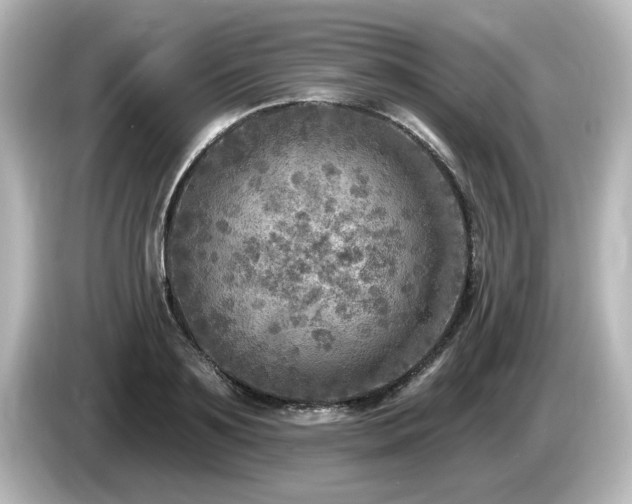 X0000085770891200703161140